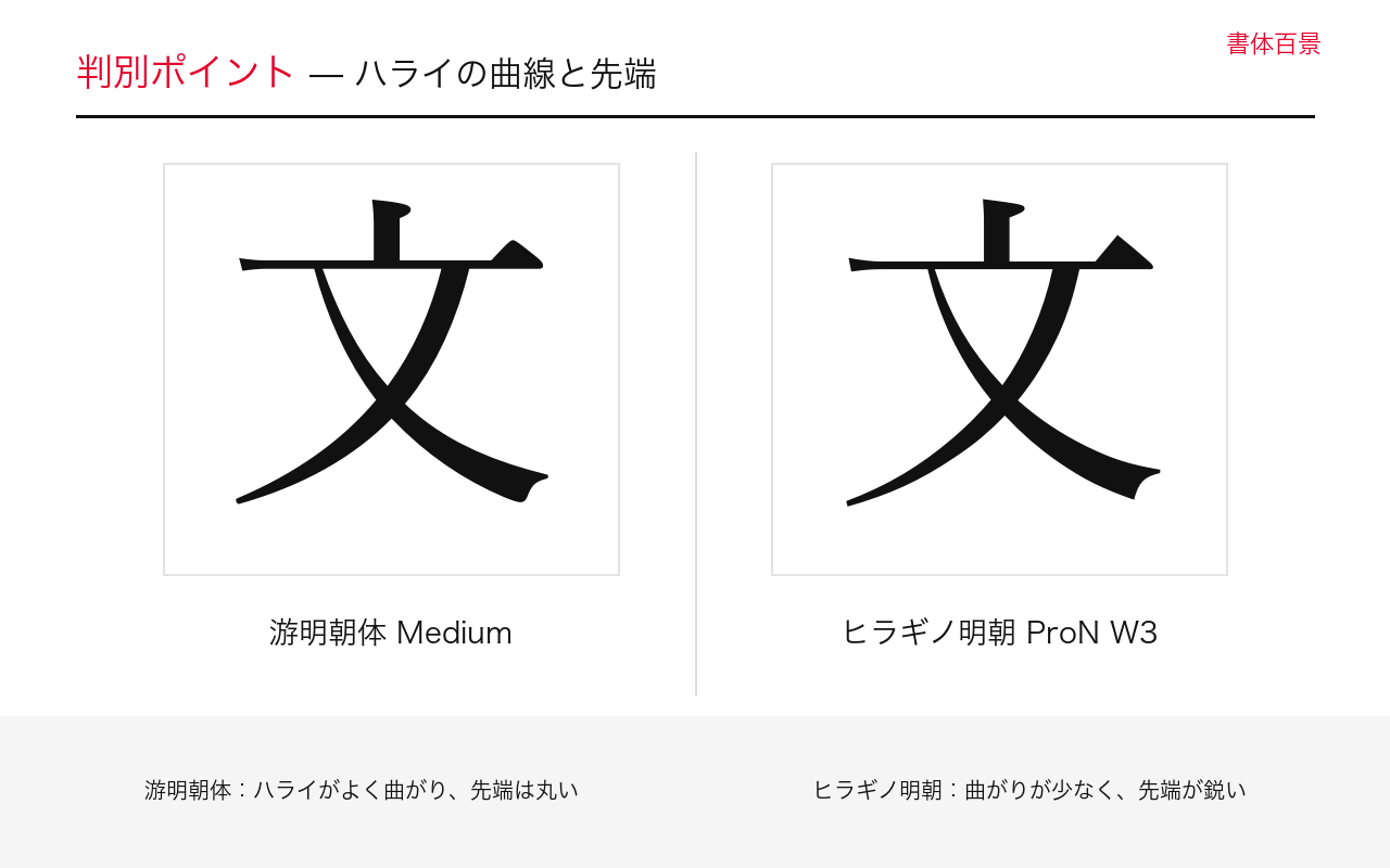 ハライの曲線と先端の字形比較