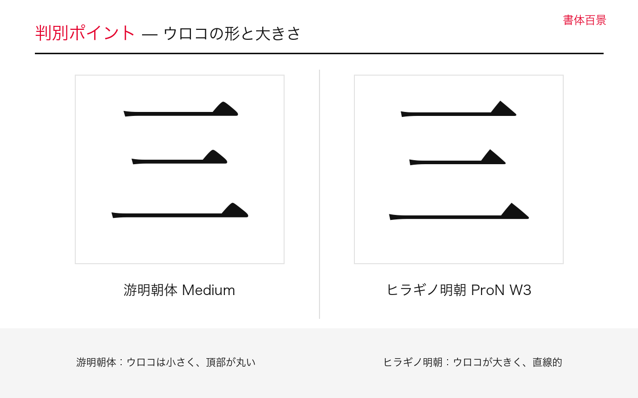 ウロコの形と大きさの字形比較